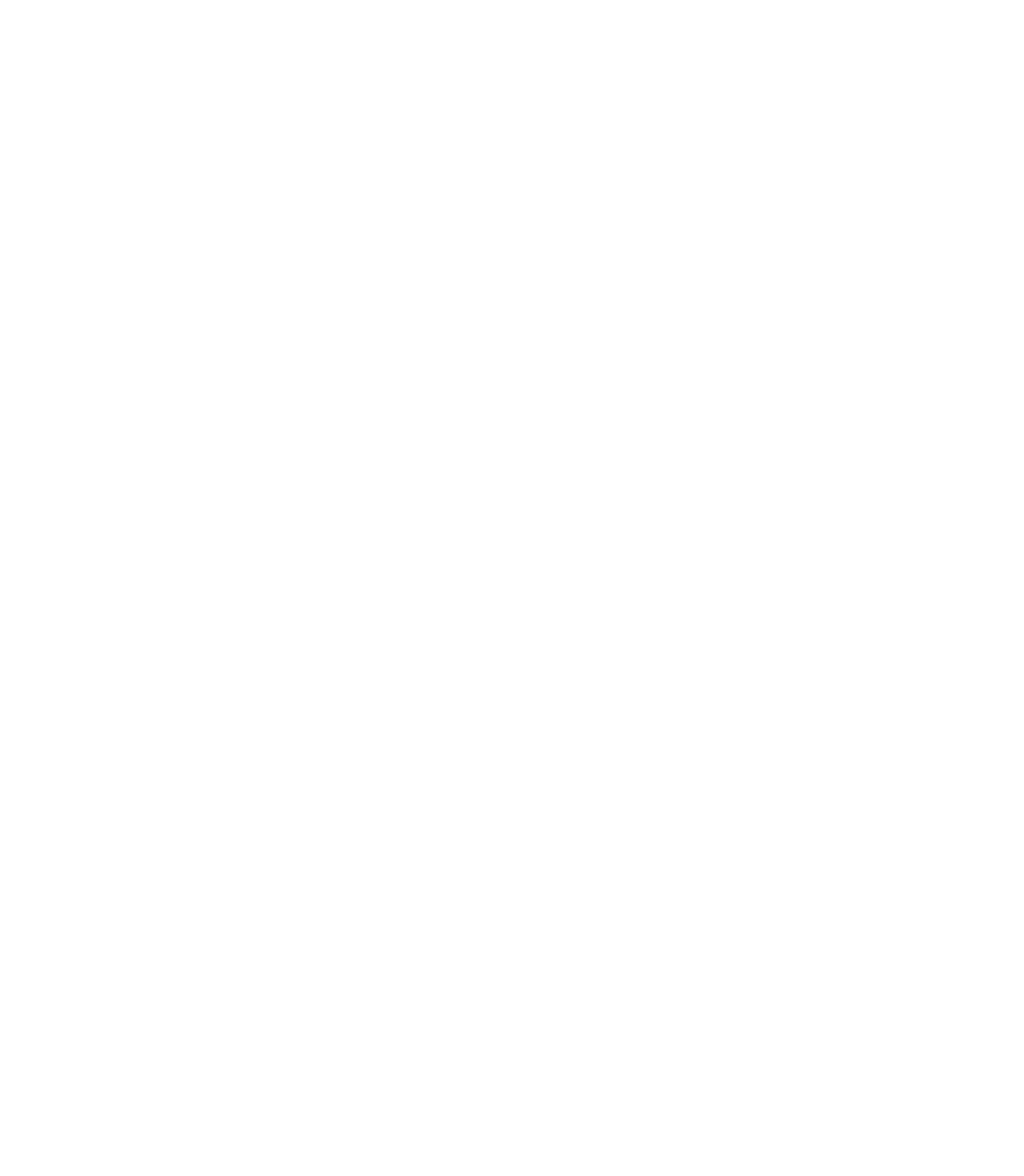 American Magic
